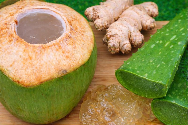 jengibre y aloe vera