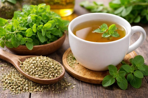 El Orégano: La Planta Medicinal con 25 Beneficios Comprobados