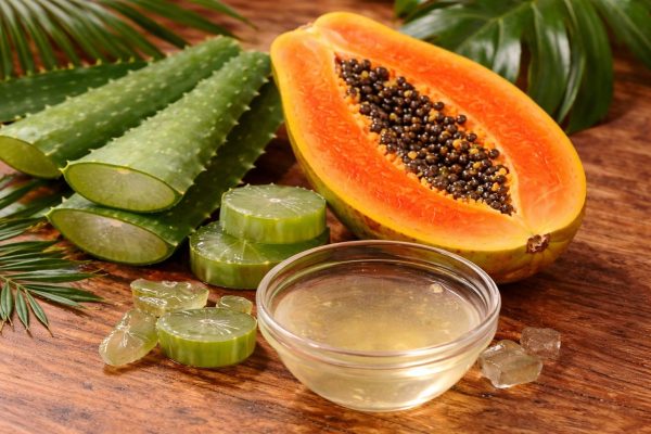 Sábila y Papaya: El Remedio Natural que Puede Aliviar la Gastritis