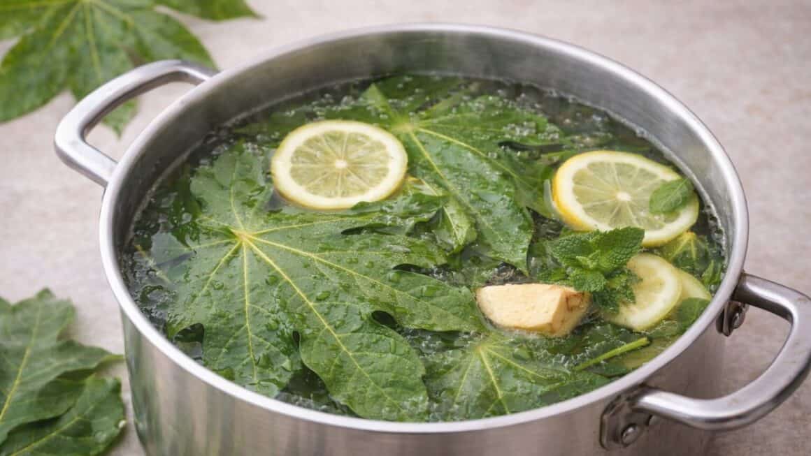 hojas de papaya beneficios