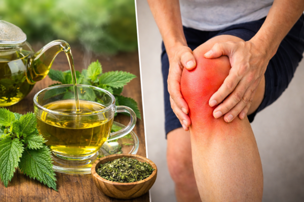 La Ortiga: Cómo Usarla en Té y Ungüento para Desintoxicar y Aliviar Dolores